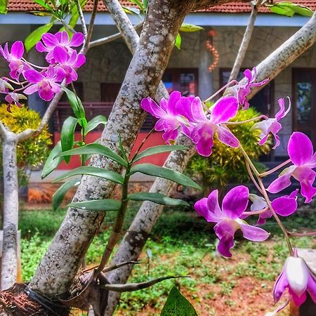 Vedic Heritage Boutique Hotel Kovalam Zewnętrze zdjęcie