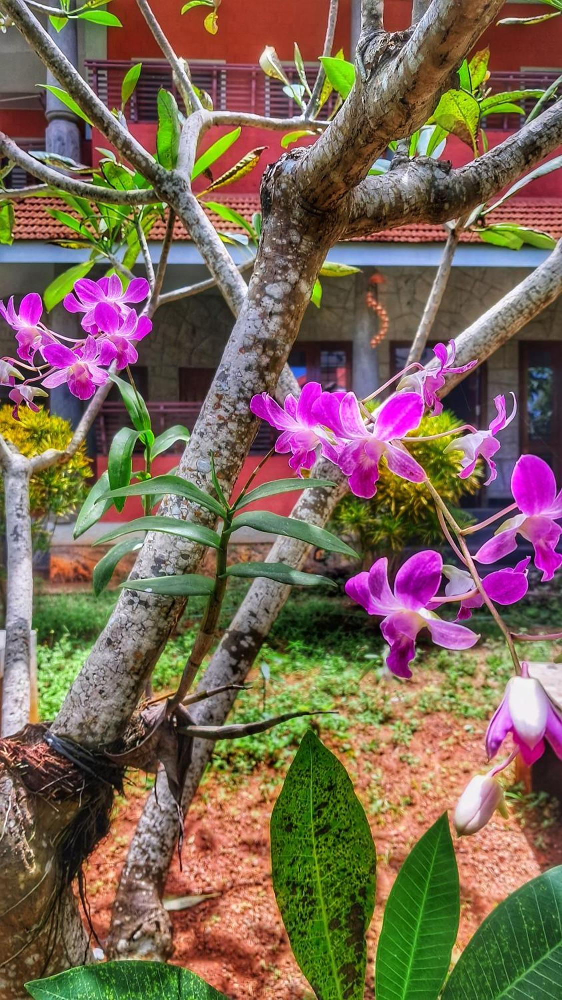 Vedic Heritage Boutique Hotel Kovalam Zewnętrze zdjęcie