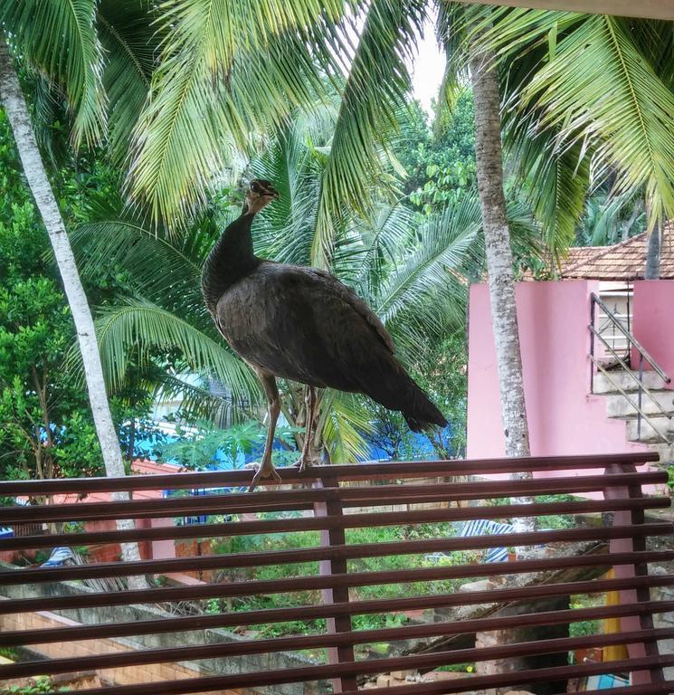 Vedic Heritage Boutique Hotel Kovalam Zewnętrze zdjęcie